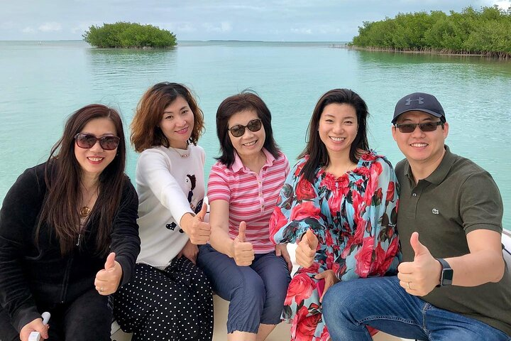 Private 2 hour Mangrove Ecotour - Photo 1 of 13